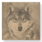 American Timber Wolf Pencil Drawing