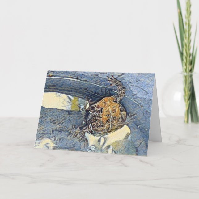 American Toad Blank All Occasions Card (Front)