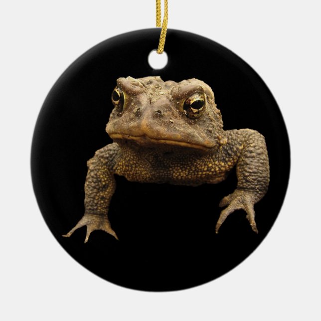 American Toad Ceramic Ornament (Front)