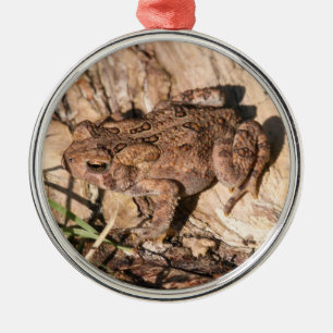 American Toad Metal Ornament
