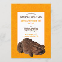 American Toad Orange and Brown Boys Birthday Party