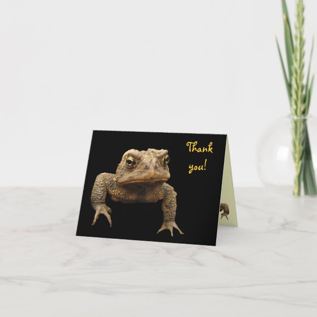 American Toad Thank You Card (Front)