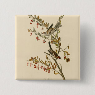 American Tree Sparrow, Audubon's Birds of America 2 Inch Square Button