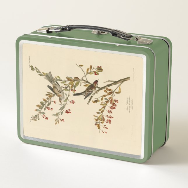 American Tree Sparrow, Audubon's Birds of America Metal Lunch Box (Back)