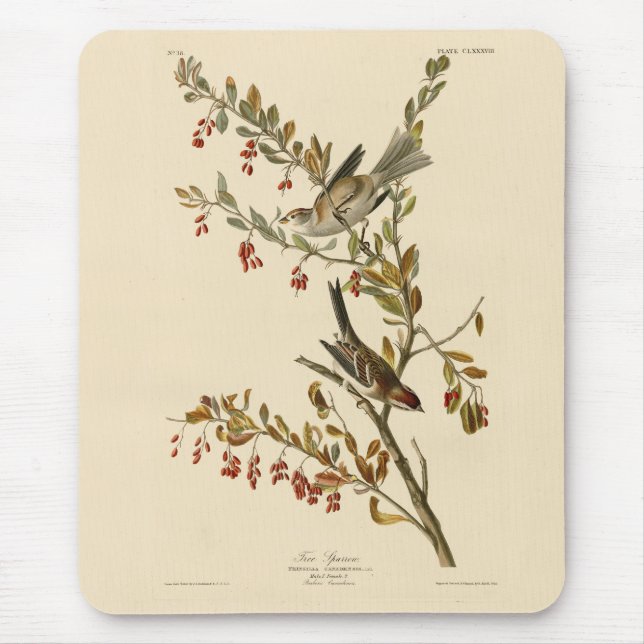 American Tree Sparrow, Audubon's Birds of America  Mouse Pad (Front)