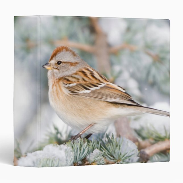 American Tree Sparrow in winter Binder (Front/Spine)