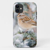 American Tree Sparrow in winter