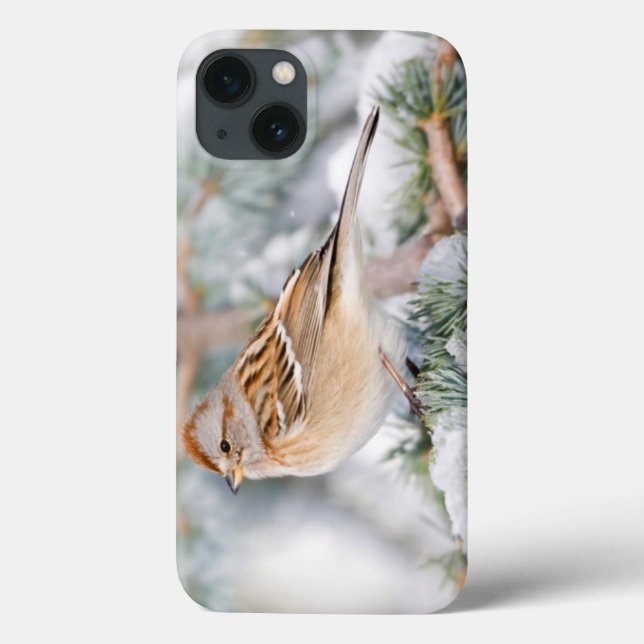 American Tree Sparrow in winter Case-Mate iPhone Case (Back)