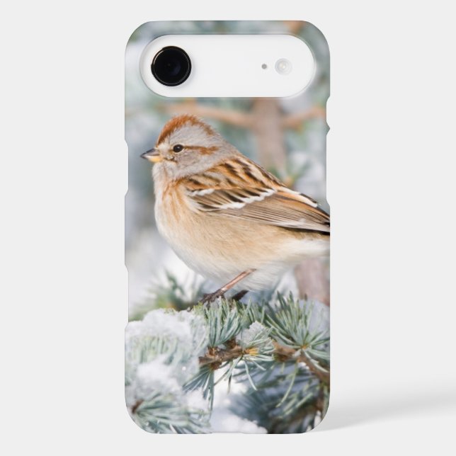 American Tree Sparrow in winter Case-Mate iPhone Case (Back)