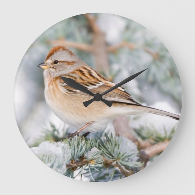 American Tree Sparrow in winter Large Clock (Front)