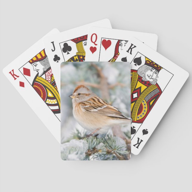 American Tree Sparrow in winter Playing Cards (Back)