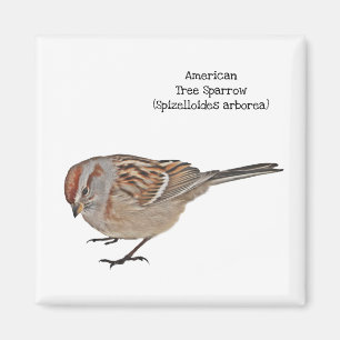American Tree Sparrow Magnet