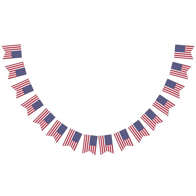 American United States USA Flag Bunting Banner (All)