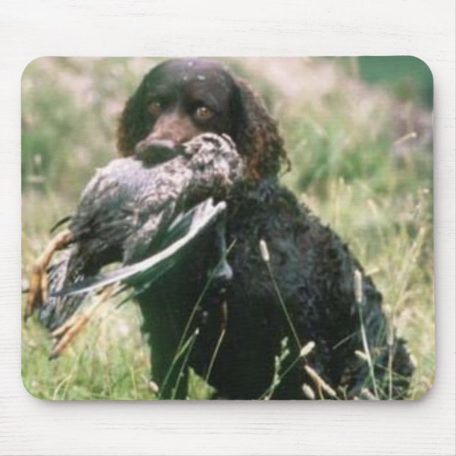 American Water Spaniel Mousepad (Front)
