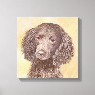 American Water Spaniel Painting - Original Dog Art Canvas Print