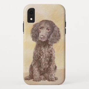 American Water Spaniel Painting - Original Dog Art iPhone XR Case
