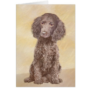 American Water Spaniel Peinture - Original Dog Art