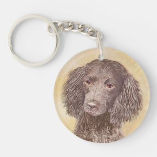 American Water Spaniel Peinture - Original Dog Art