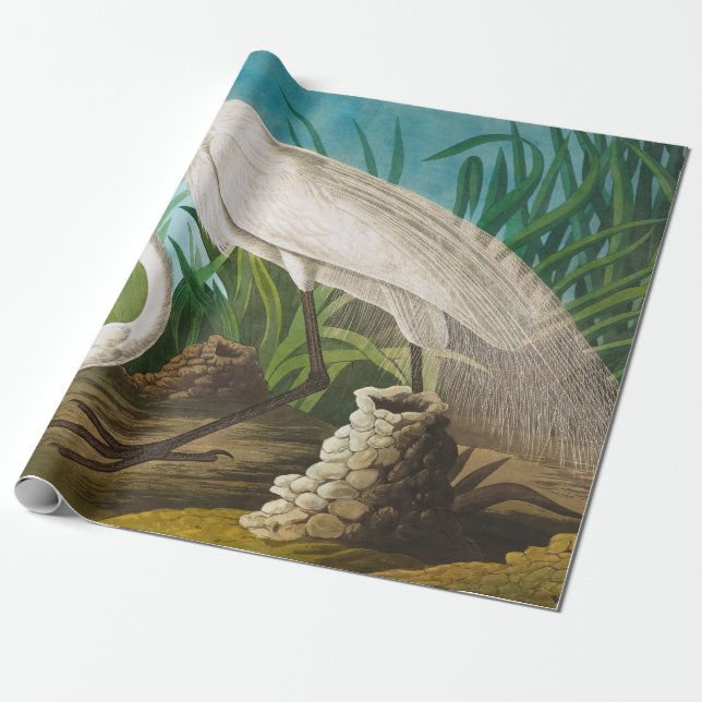 American White Heron by John James Audubon Wrapping Paper (Unrolled)