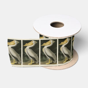 American White Pelican, Audubon's Birds of America Satin Ribbon