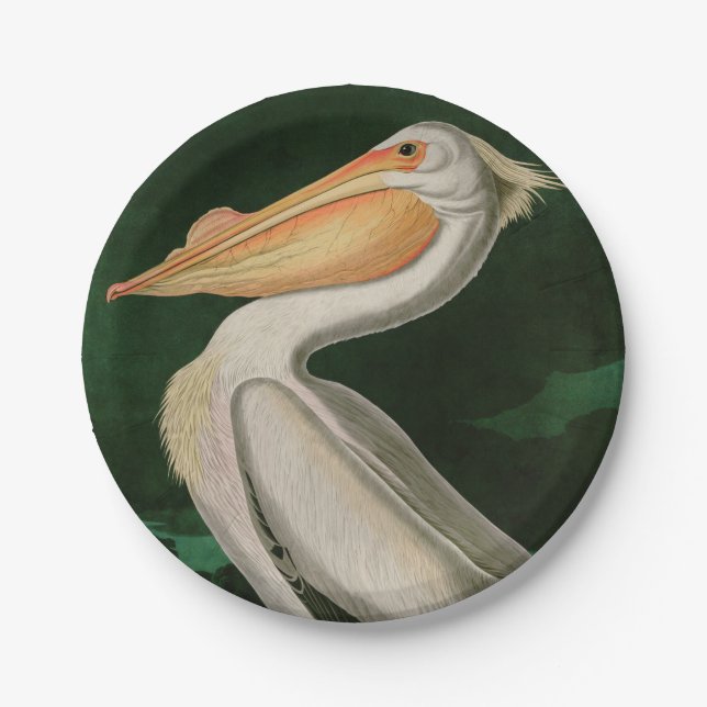 American White Pelican Birds of America Audubon Paper Plate (Front)