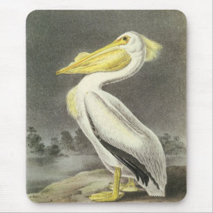 American White Pelican by Audubon Mouse Pad