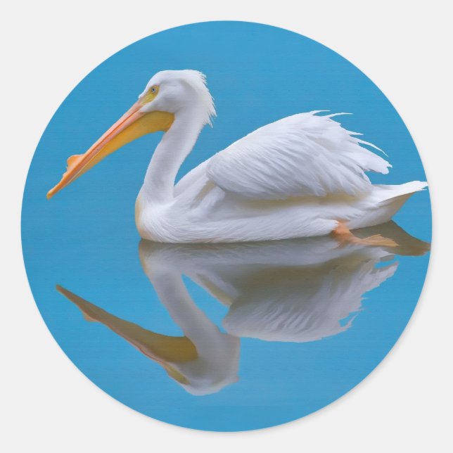 American White Pelican Sticker (Front)