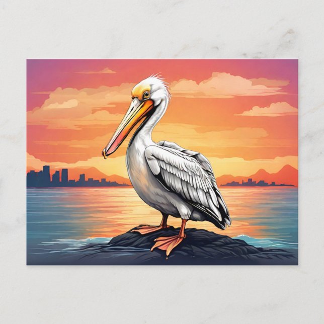American white pelican sunset postcard (Front)