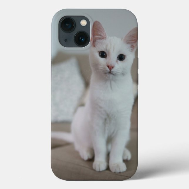 American white shorthair cat Case-Mate iPhone case (Back)