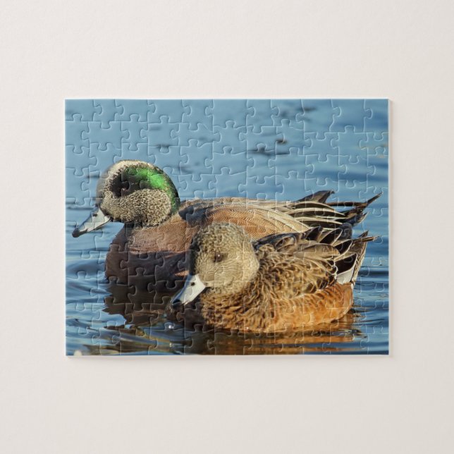 American Widgeon Ducks (Drake and Hen) Jigsaw Puzzle (Horizontal)
