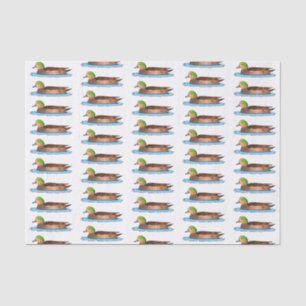 American wigeon bird cartoon illustration tissue paper