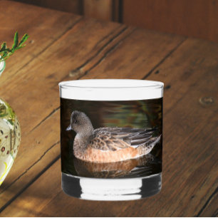 American Wigeon Duck Hen on Pond Whiskey Glass
