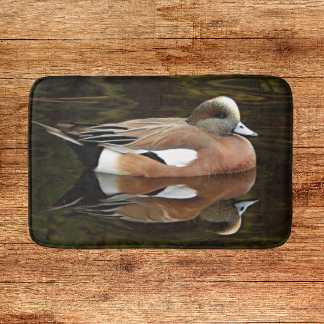 American Wigeon Duck on Pond Bath Mat (In Situ)
