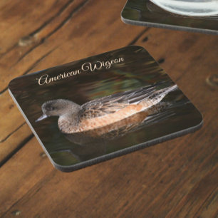 American Wigeon on Pond Wildlife Photo Coaster