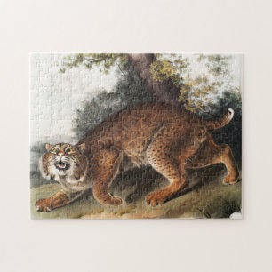 American wild cat (Lynx rufus) Illustration Jigsaw Puzzle