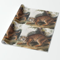 American wild cat (Lynx rufus) Illustration
