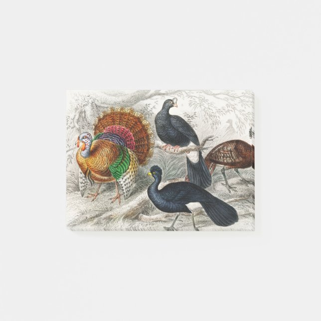 American Wild Turkey, Crested Curassow Post-it Notes (Front)