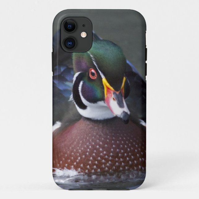 American Wood Duck iPhone 5 Case-Mate Case (Back)