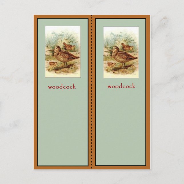 American Woodcock Bookmark Postcard (Front)