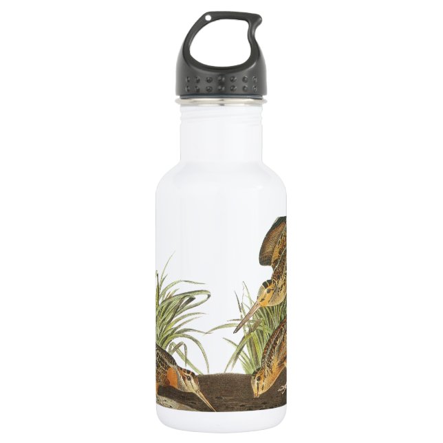 American Woodcock by Audubon 532 Ml Water Bottle (Front)