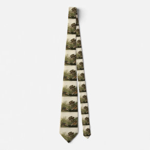 American Woodcock from Audubon's Birds of America Tie