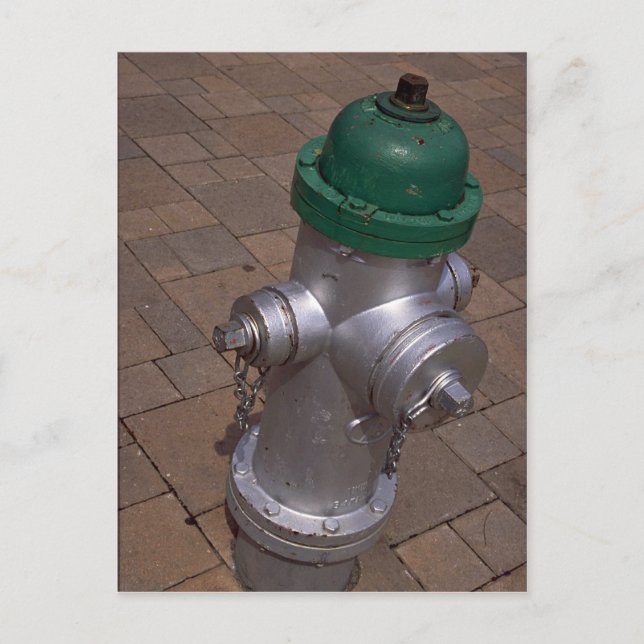 Americana (hydrant), Florida, U.S.A. Postcard (Front)