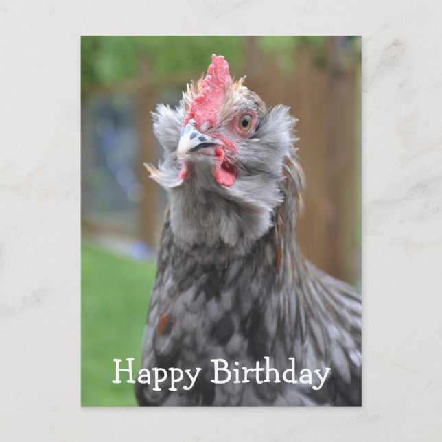 Americana Rooster Happy Birthday Postcard (Front)