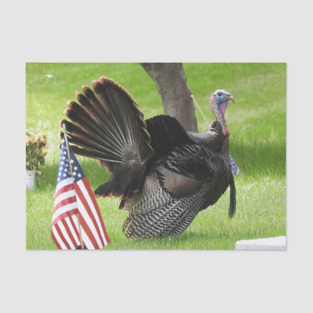 America's Bird Wild Tom Turkey Tissue Paper (Front)