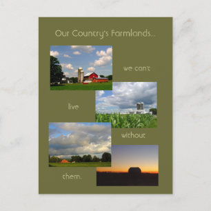 America's Farmlands 1 photo postcard