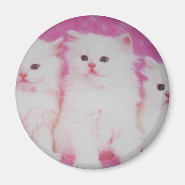 America's Next Top Models Magnet (Front)