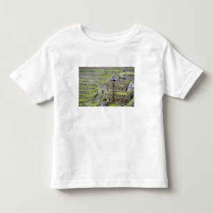 Americas, Peru, Machu PIcchu. The ancient 2 Toddler T-shirt