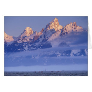 Amérique du Nord, USA, Wyoming, Grand Teton NP, 2