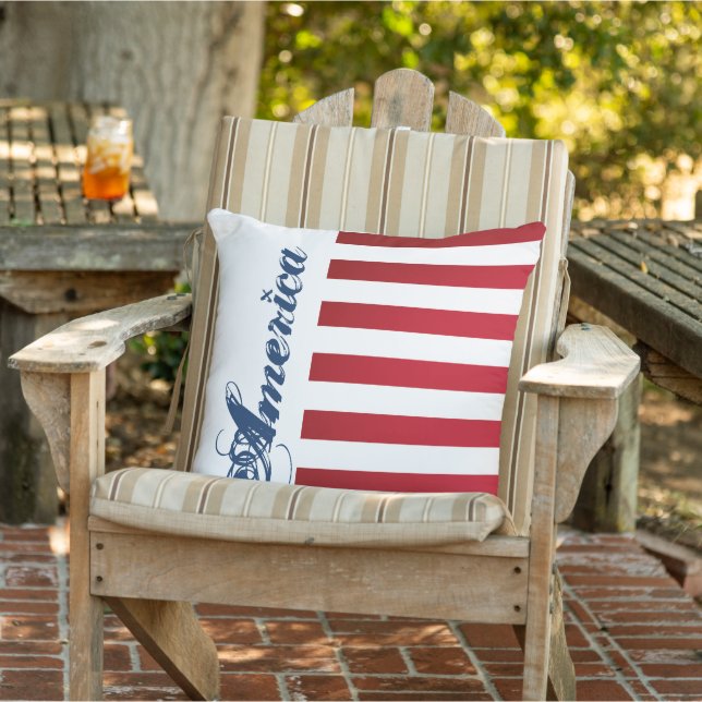 Amérique x coussin (Chaise)