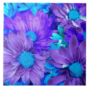 Amethyst Purple and Turquoise Blue Daisies Tile